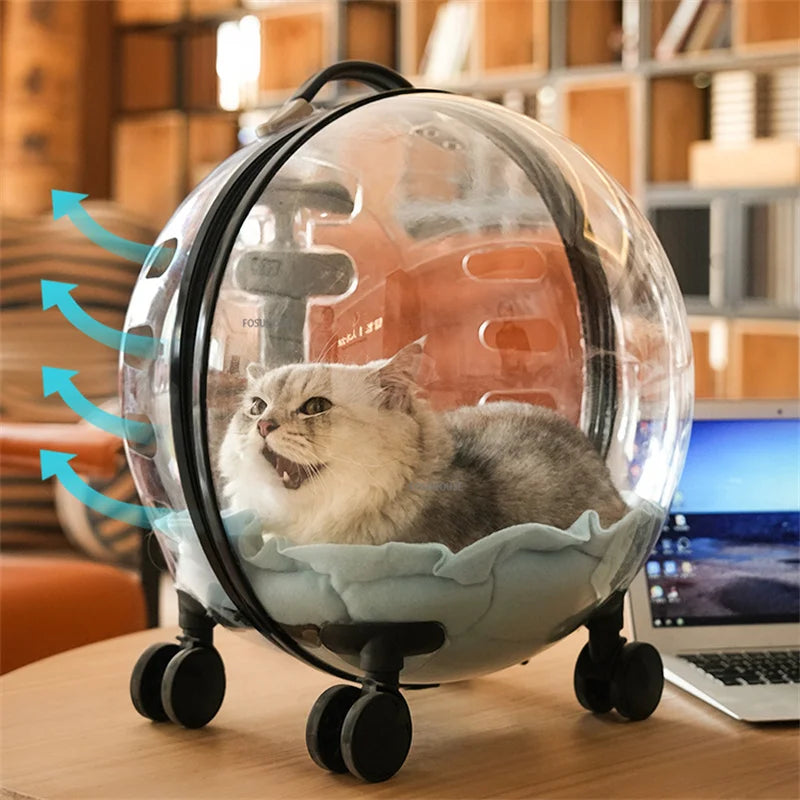 Modern Transparent Pet Stroller